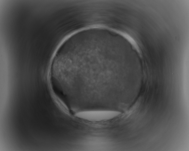 X0000092290911200709211211