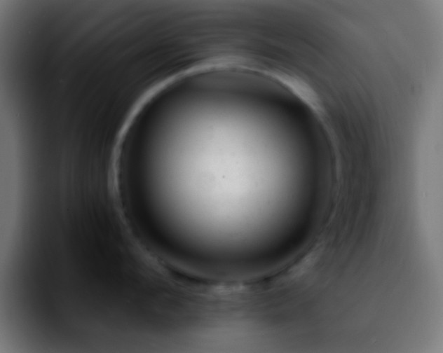 X0000092290912200709211211