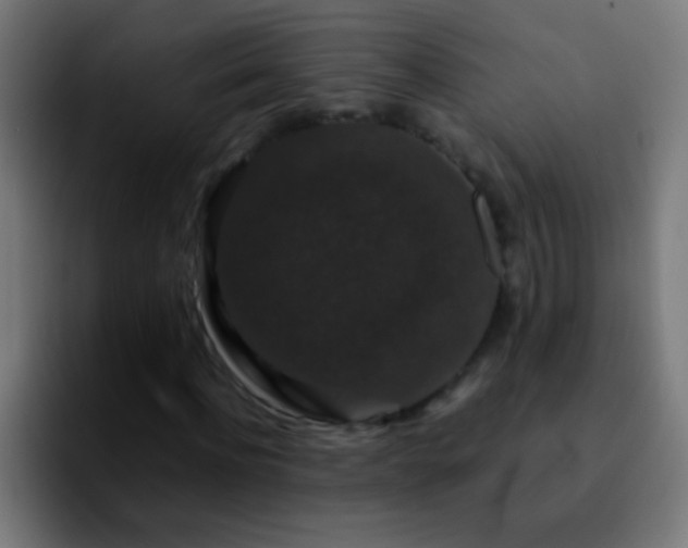 X0000092290916200709211210