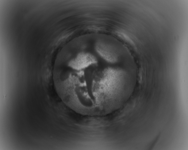 X0000092290917200709211210