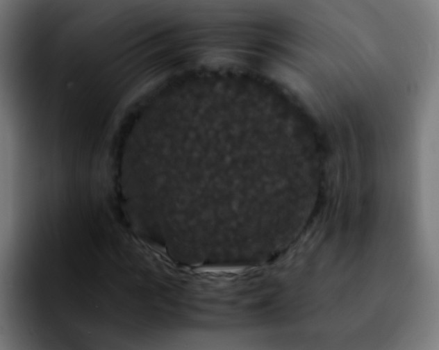 X0000092290919200709211210