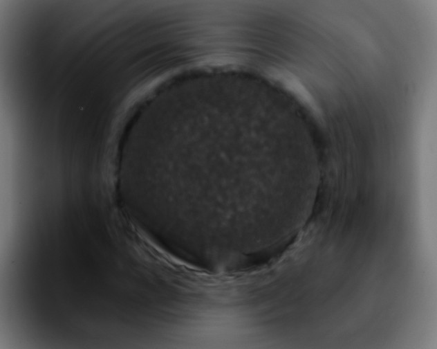 X0000092290920200709211210