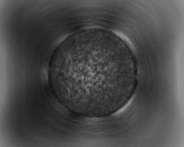 X0000092290921200709211210