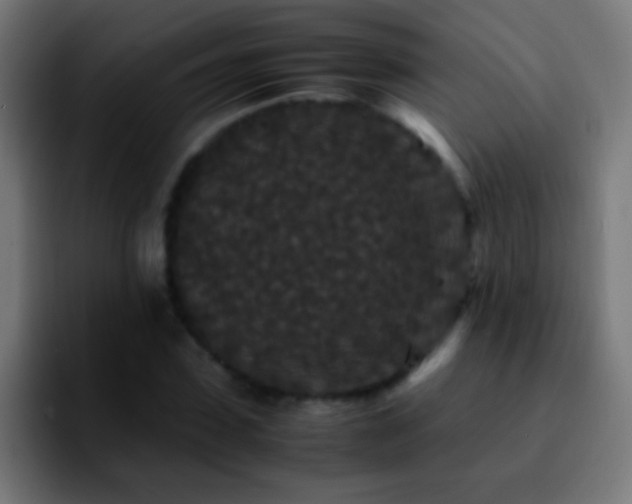 X0000092290923200709211210