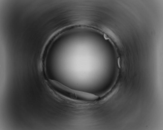 X0000092290924200709211210