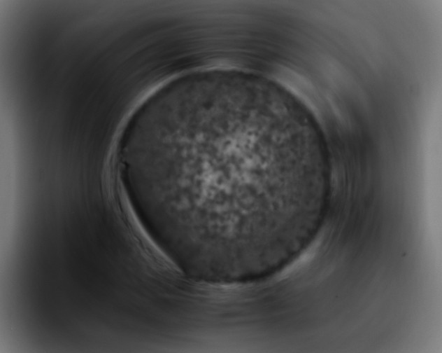 X0000092290925200709211210