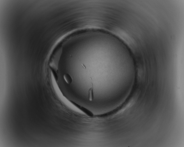 X0000092290926200709211210