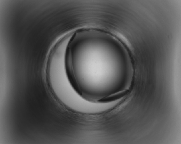 X0000092290928200709211210