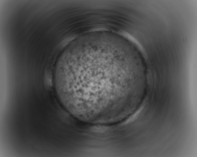 X0000092290929200709211210