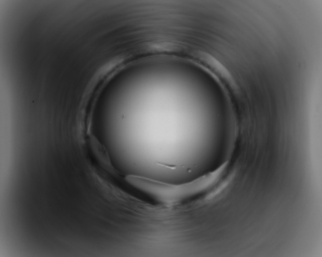 X0000092290930200709211211