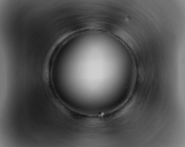 X0000092290931200709211211