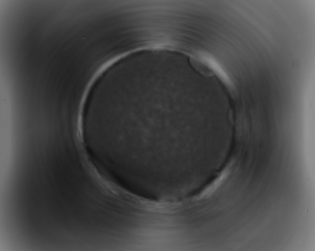 X0000092290932200709211211