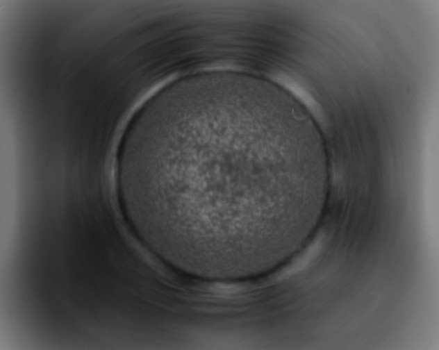 X0000092290933200709211211