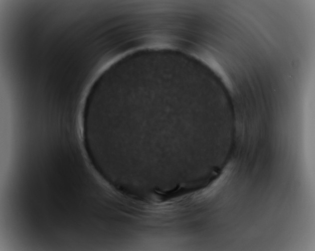 X0000092290935200709211211