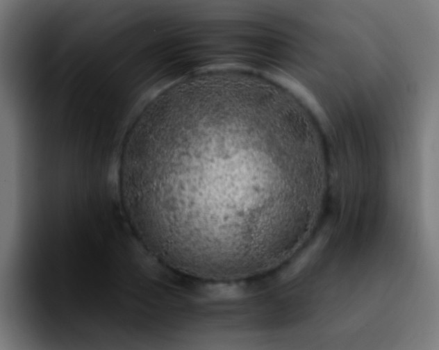 X0000092290937200709211211