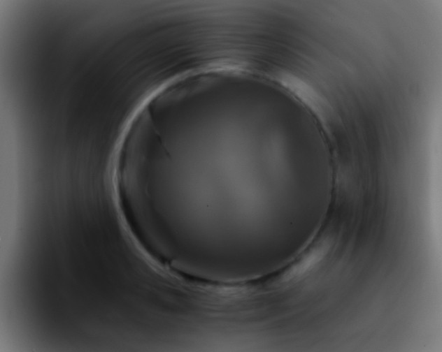 X0000092290941200709211211