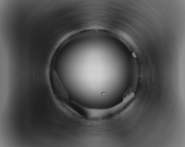 X0000092290942200709211211