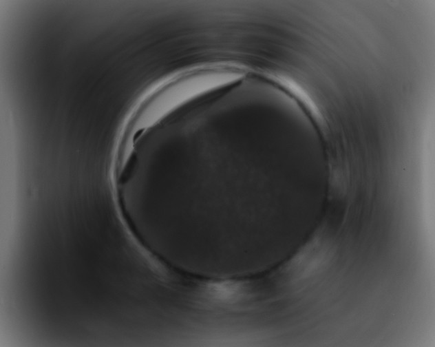 X0000092290943200709211211