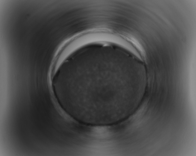 X0000092290944200709211211