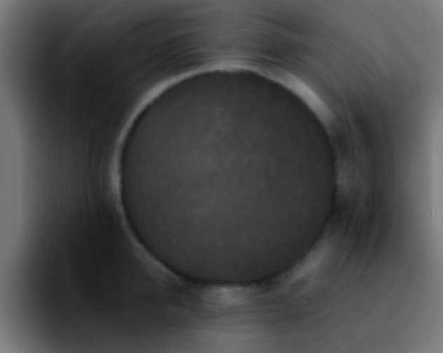 X0000092290950200709211211