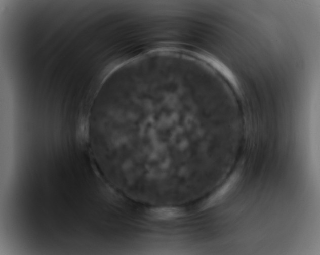 X0000092290953200709211211