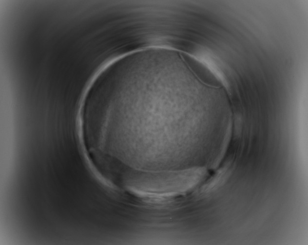 X0000092290955200709211211