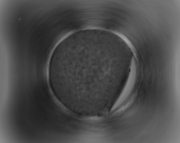 X0000092290957200709211211