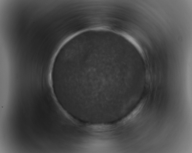 X0000092290959200709211211