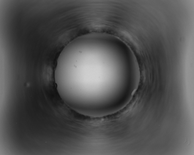 X0000092290964200709211210