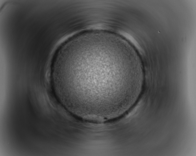 X0000092290971200709211210