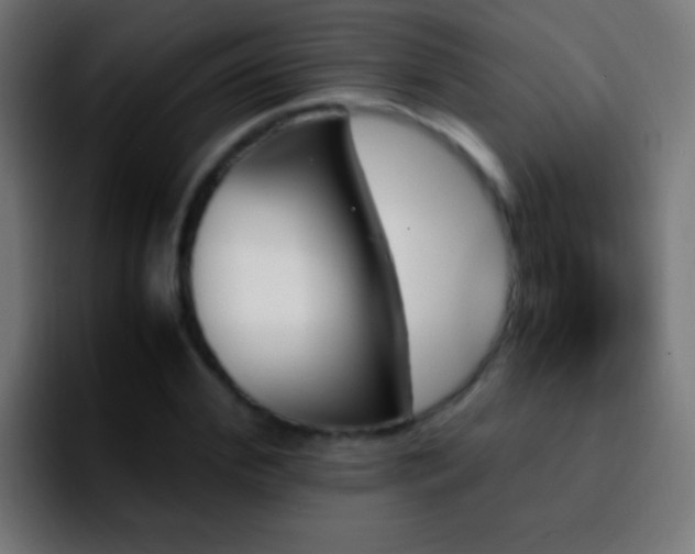 X0000092290972200709211210