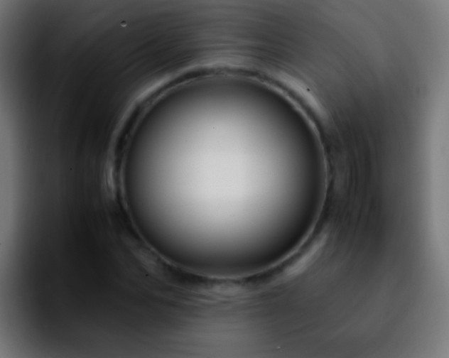 X0000092290974200709211210