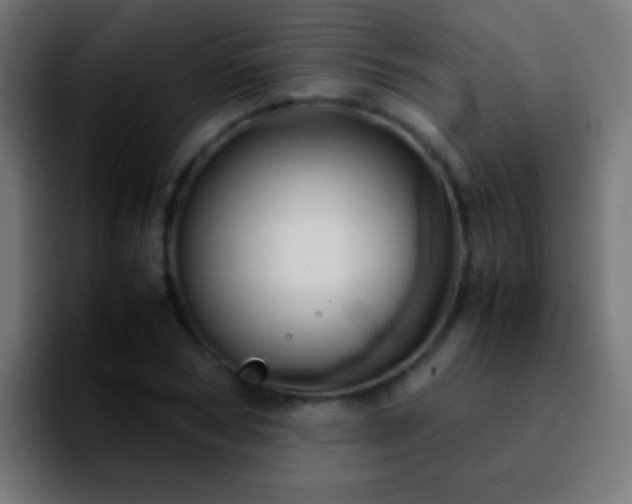 X0000092290978200709211210