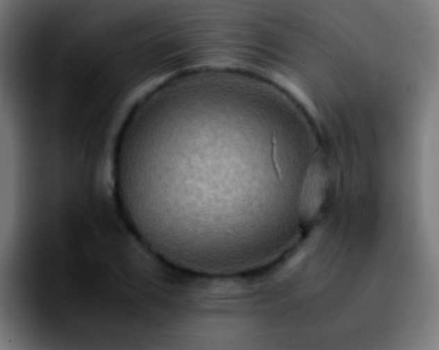 X0000092290979200709211210