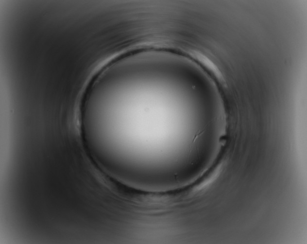 X0000092290981200709211210