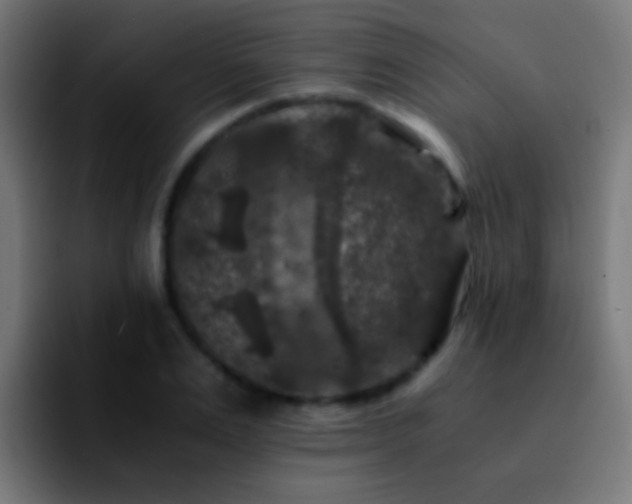 X0000092290983200709211210