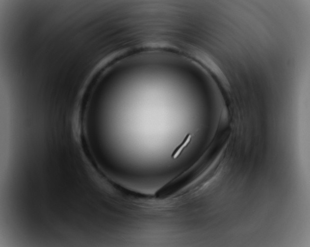 X0000092290984200709211210