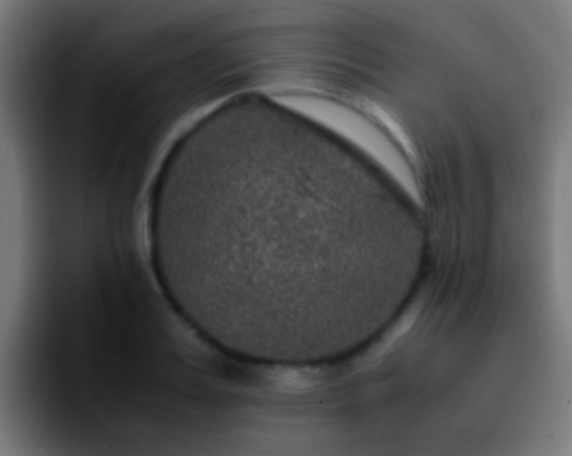 X0000092290987200709211210