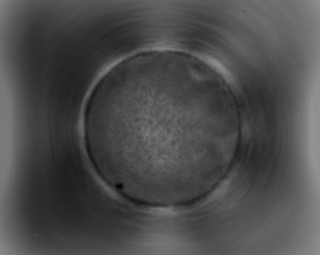 X0000092290990200709211210