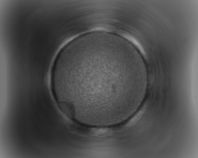 X0000092290991200709211210