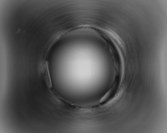 X0000092290993200709211210