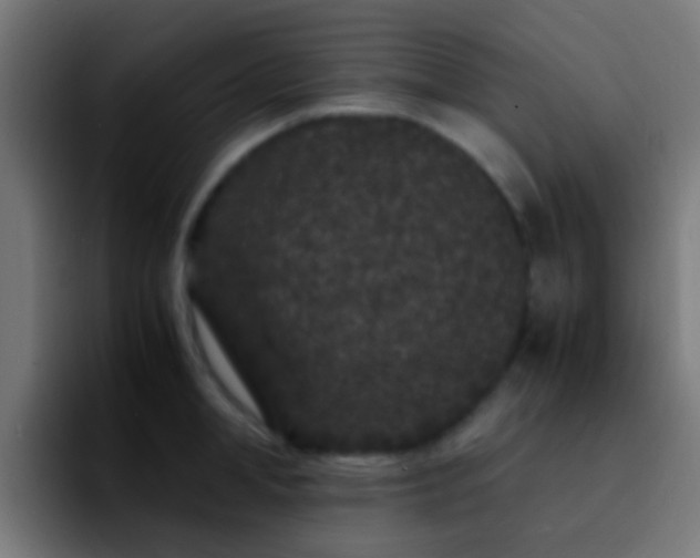 X0000092290998200709211210