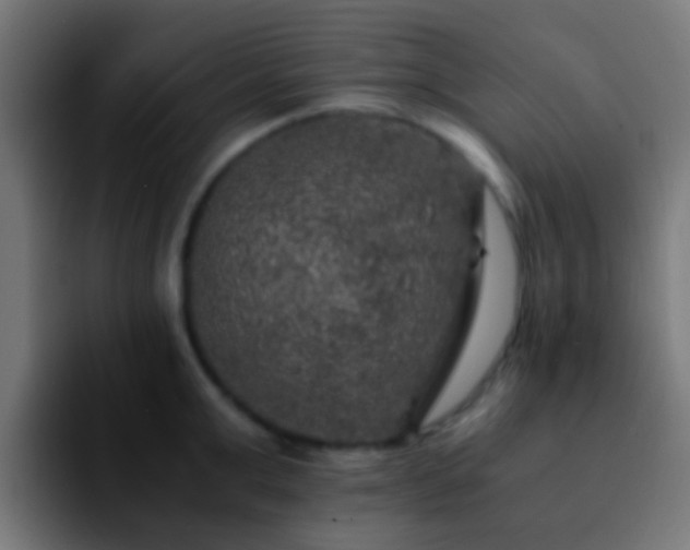 X0000092290999200709211210