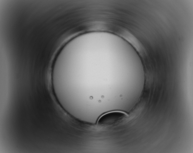 X0000092291000200709211210