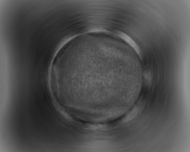 X0000092291002200709211210