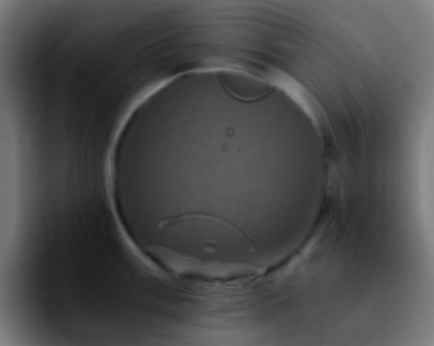 X0000092291003200709211210