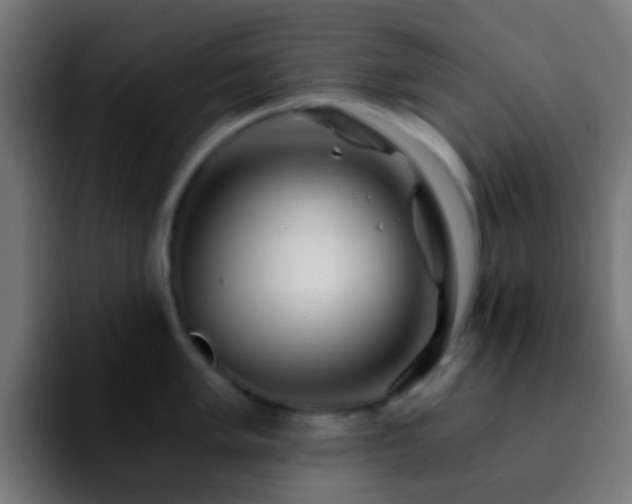 X0000092291005200709211210