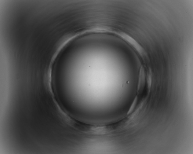 X0000092291006200709211210