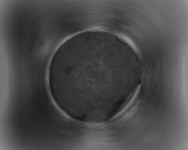 X0000092291007200709211210