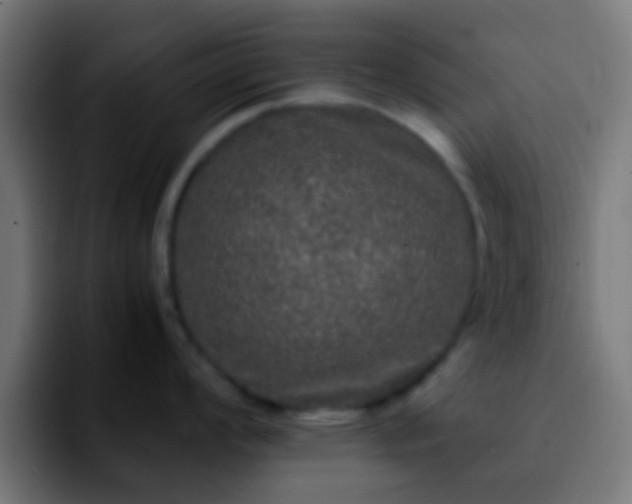 X0000092291008200709211210